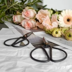 Front Page -Vitra Shop Hay Kitchen Scissors Lifestyle 2
