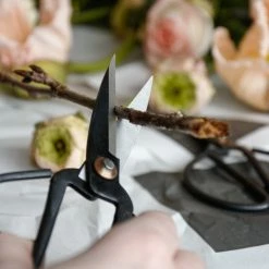 HayUtility Scissors -Vitra Shop Hay Kitchen Scissors Lifestyle