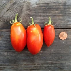 Piccolo Seed Packets -Vitra Shop Untitled 47 1