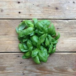 Piccolo Seed Packets -Vitra Shop Untitled 49 1