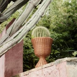 Ferm Living Agnes Plant Stand Low -Vitra Shop fermLIVING SS22 AgnesPlantStandLow Natural image 1