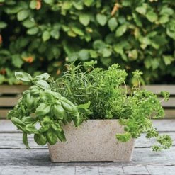Husk Herb Window Box
